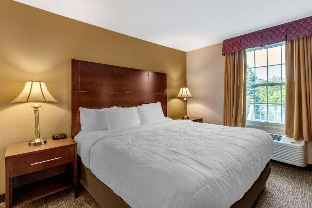 Comfort Inn Foxboro - Mansfield Foxborough Bagian luar foto