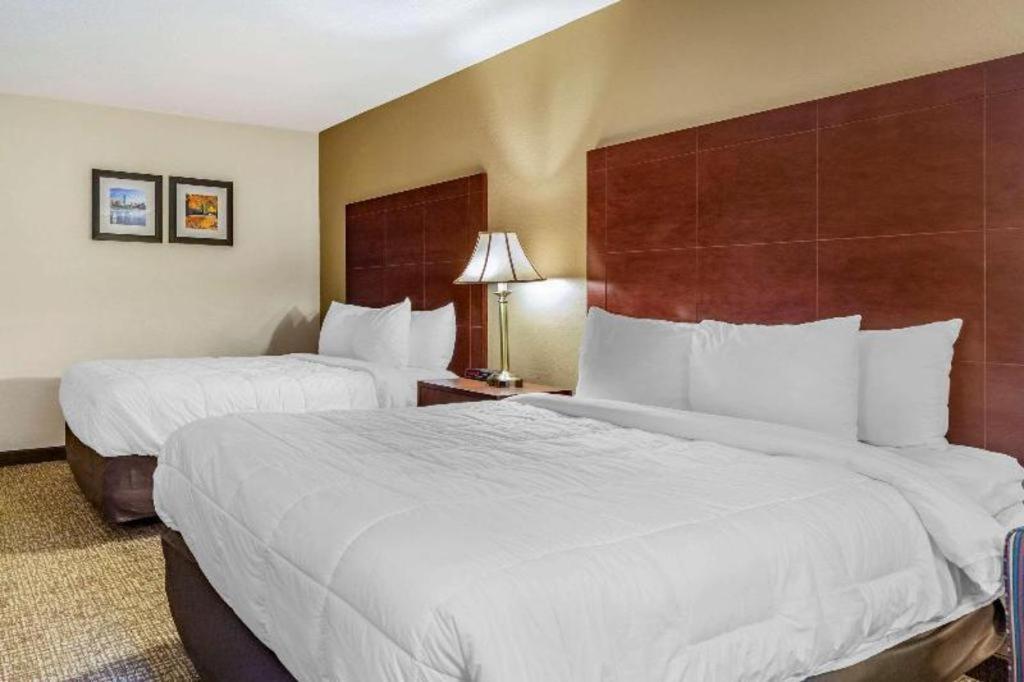 Comfort Inn Foxboro - Mansfield Foxborough Bagian luar foto