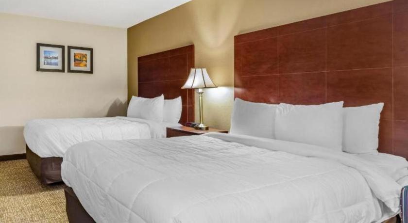 Comfort Inn Foxboro - Mansfield Foxborough Bagian luar foto