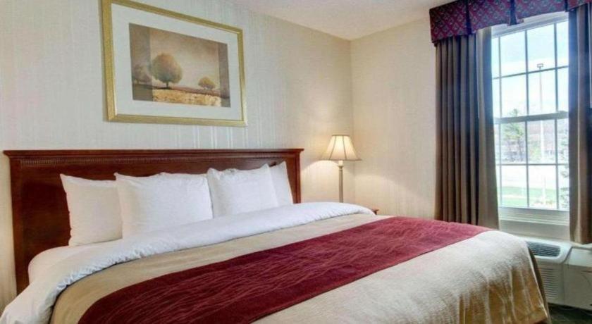 Comfort Inn Foxboro - Mansfield Foxborough Bagian luar foto
